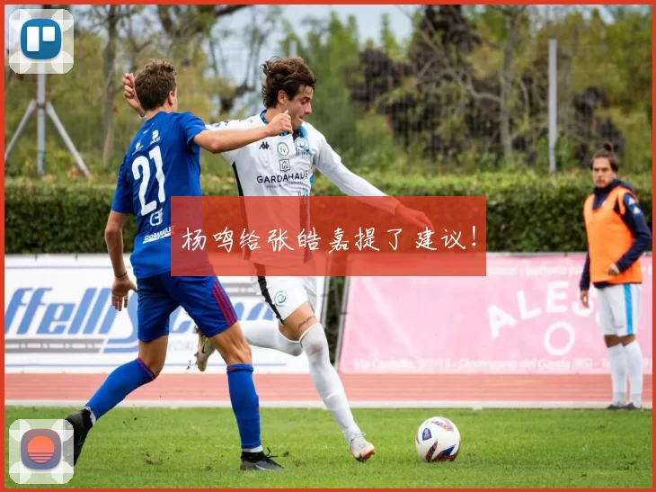 杨鸣给张皓嘉提了建议！