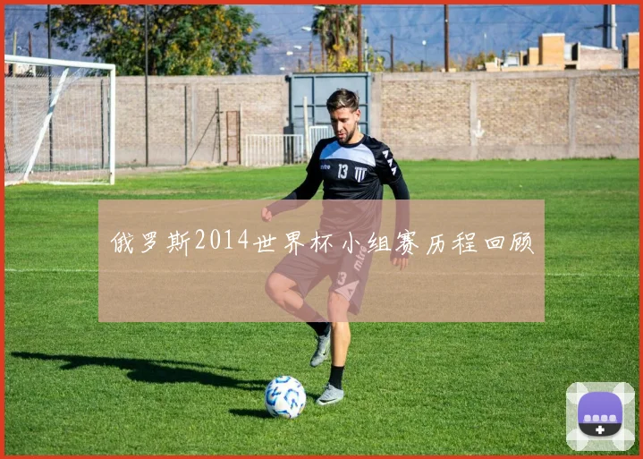 俄罗斯2014世界杯小组赛历程回顾